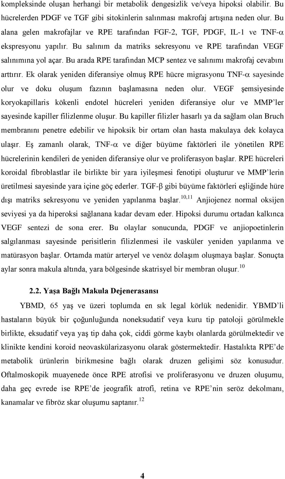 Bu arada RPE tarafından MCP sentez ve salınımı makrofaj cevabını arttırır. Ek olarak yeniden diferansiye olmuş RPE hücre migrasyonu TNF- sayesinde olur ve doku oluşum fazının başlamasına neden olur.