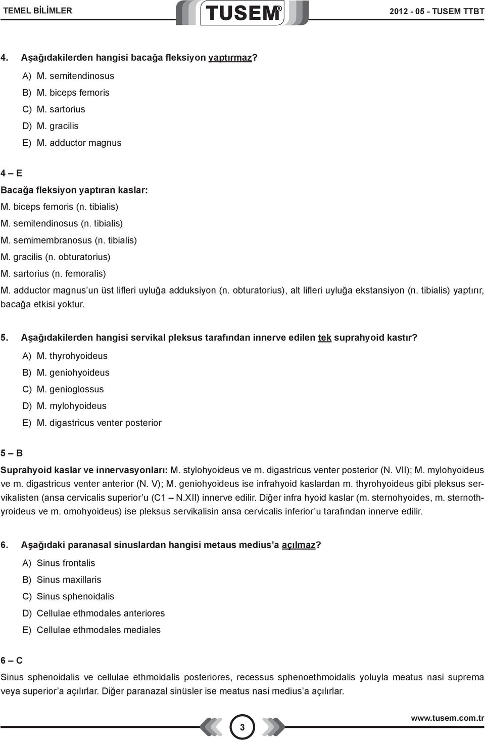 femoralis) M. adductor magnus un üst lifleri uyluğa adduksiyon (n. obturatorius), alt lifleri uyluğa ekstansiyon (n. tibialis) yaptırır, bacağa etkisi yoktur. 5.