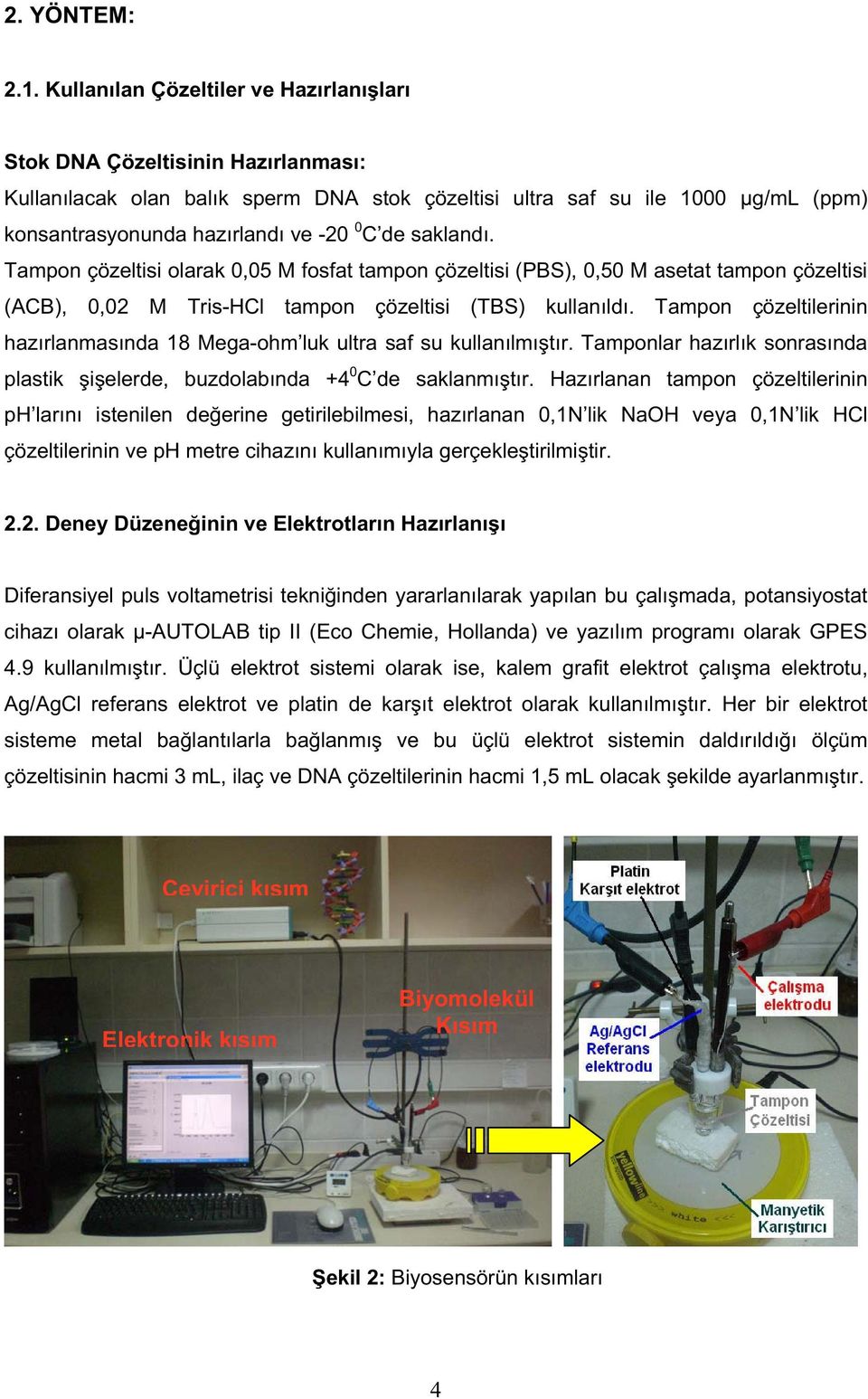 de saklandı. Tampon çözeltisi olarak 0,05 M fosfat tampon çözeltisi (PBS), 0,50 M asetat tampon çözeltisi (ACB), 0,02 M Tris-HCl tampon çözeltisi (TBS) kullanıldı.