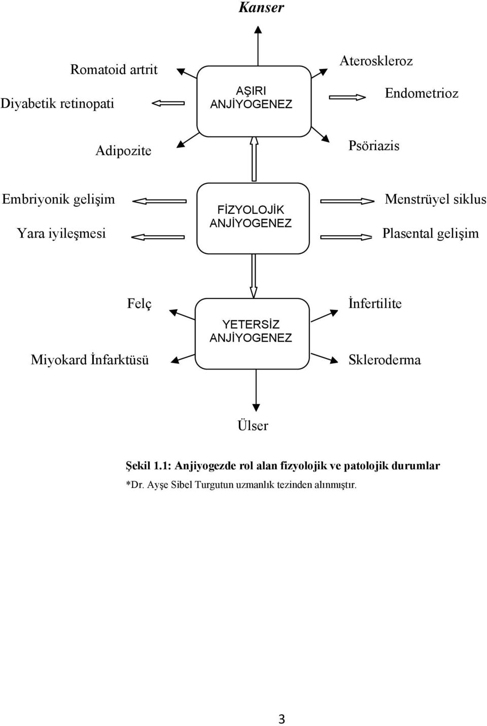 gelişim Felç Miyokard İnfarktüsü YETERSİZ ANJİYOGENEZ İnfertilite Skleroderma Ülser Şekil 1.