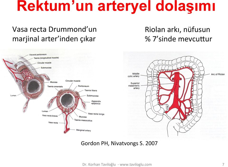 nüfusun % 7 sinde mevcuhur Gordon PH,