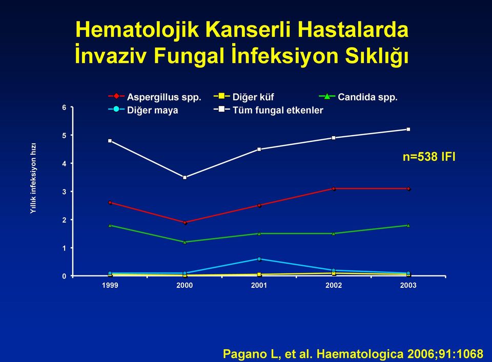 Diğer küf Candida spp.