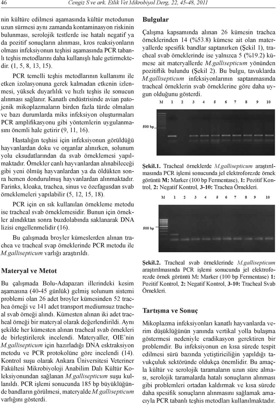 pozitif sonuçların alınması, kros reaksiyonların olması infeksiyonun teşhisi aşamasında PCR tabanlı teşhis metodlarını daha kullanışlı hale getirmektedir. (1, 5, 8, 13, 15).