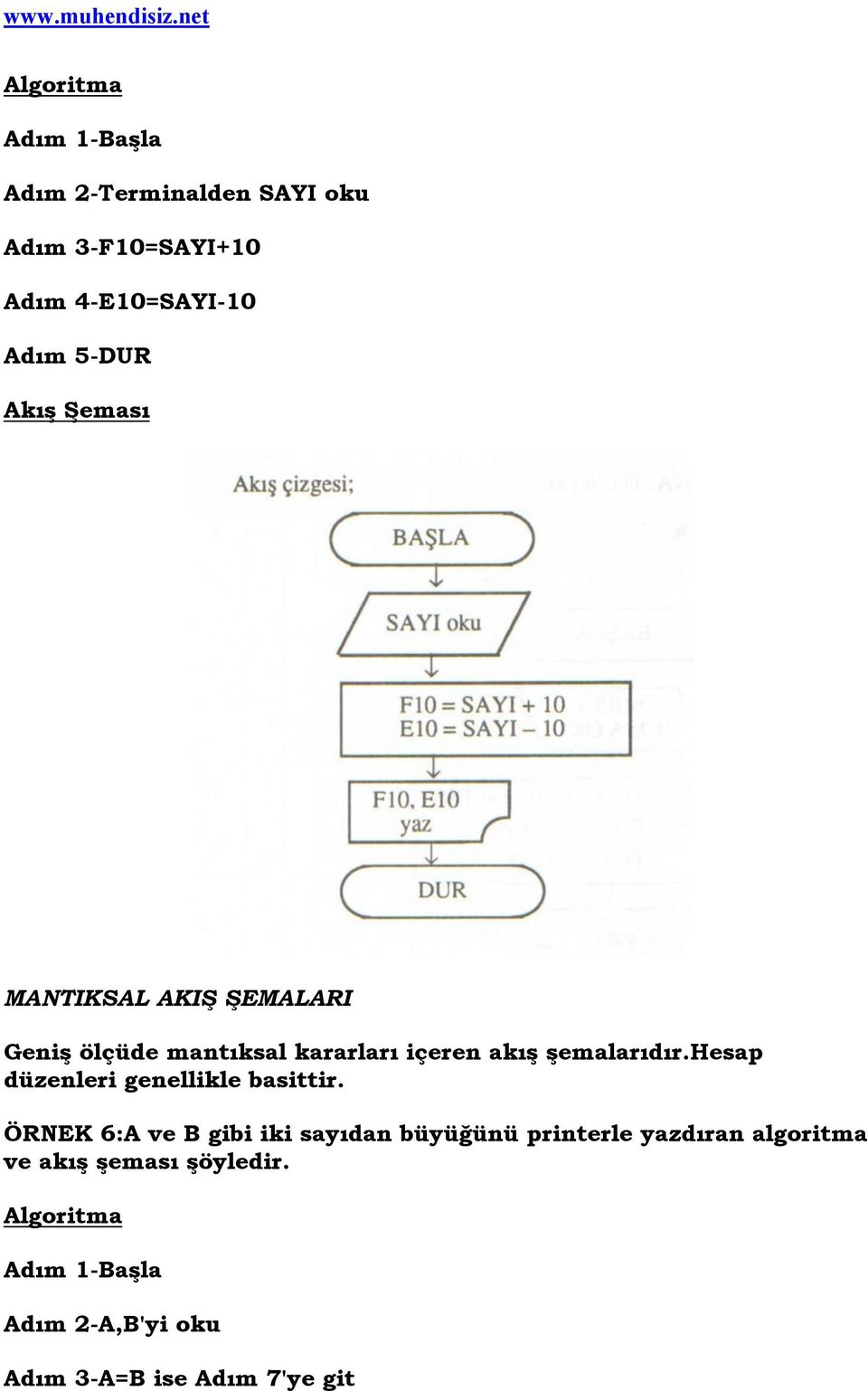 şemalarıdır.hesap düzenleri genellikle basittir.