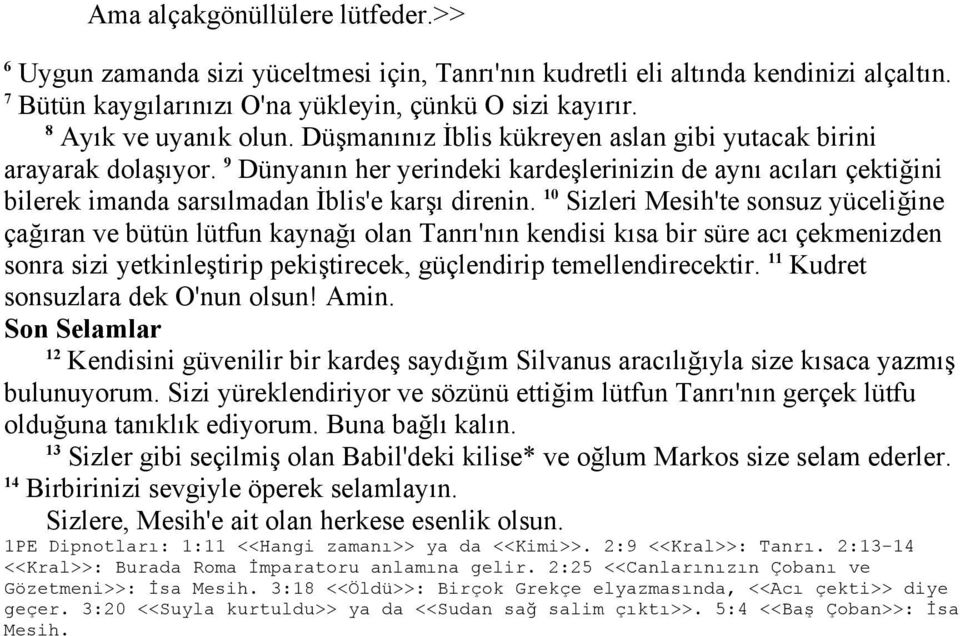 9 Dünyanın her yerindeki kardeşlerinizin de aynı acıları çektiğini bilerek imanda sarsılmadan İblis'e karşı direnin.