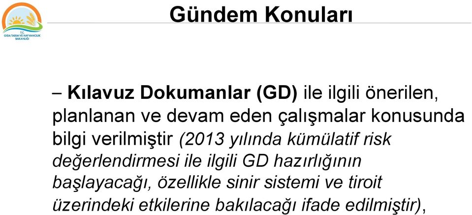 risk değerlendirmesi ile ilgili GD hazırlığının başlayacağı, özellikle