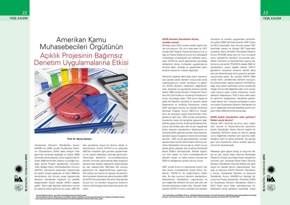 tamamlayarak, bütün kapsamıyla 31 Aralık 2009 tarihinden itibaren yürürlüğe koyduğu Açıklık Projesi 1 paralelinde, Amerikan Yetki Belgeli Kamu Muhasebecileri Kurumu (AICPA), yakınsama çalışmaları