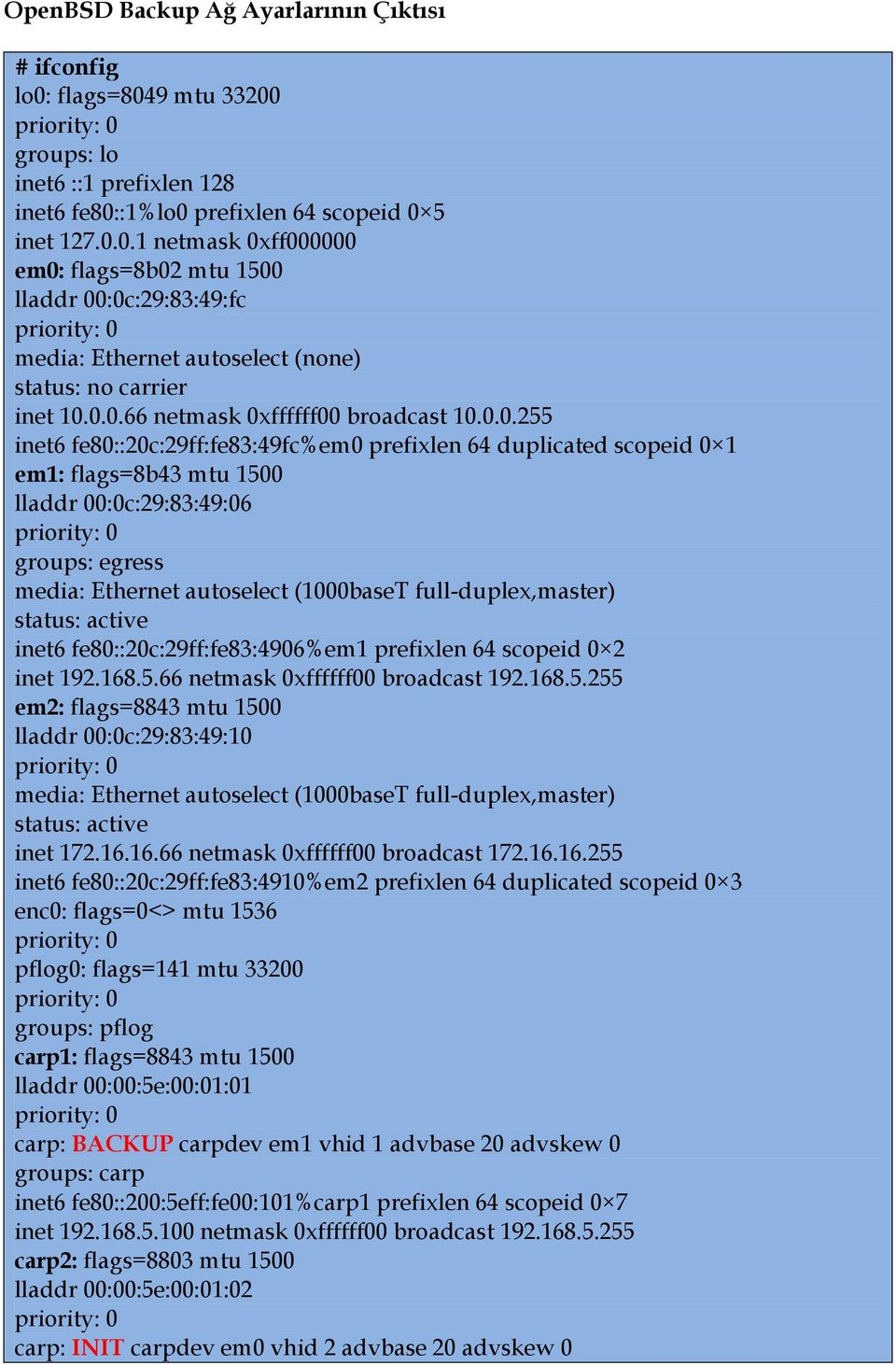 autoselect (1000baseT full-duplex,master) status: active inet6 fe80::20c:29ff:fe83:4906%em1 prefixlen 64 scopeid 0 2 inet 192.168.5.