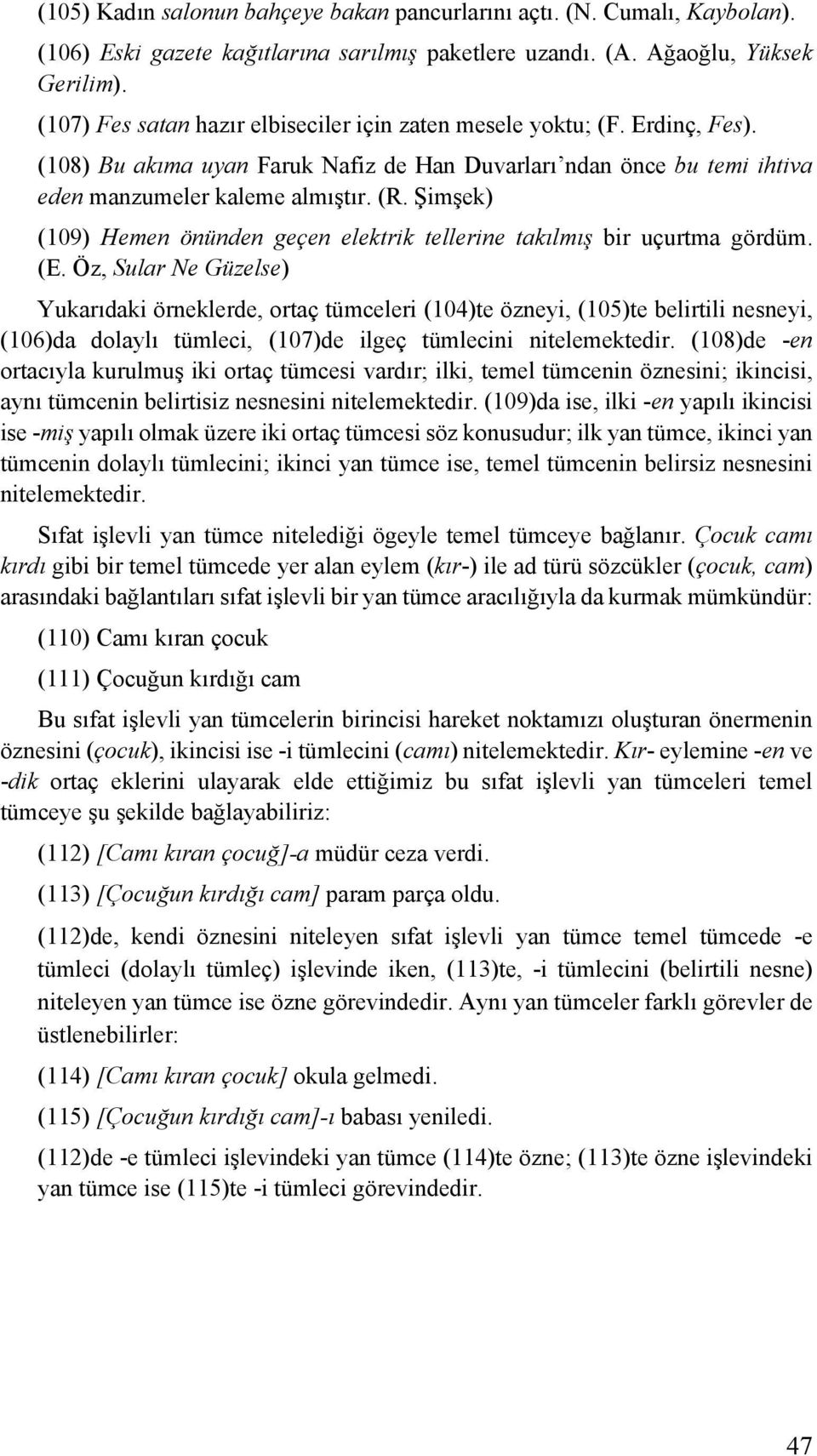 Şimşek) (109) Hemen önünden geçen elektrik tellerine takılmış bir uçurtma gördüm. (E.