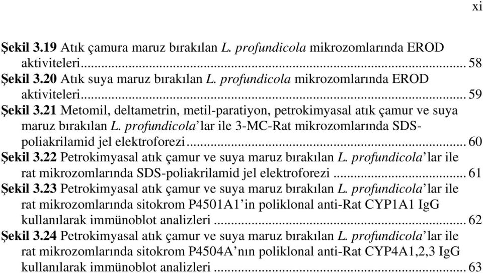 22 Petrokimyasal atık çamur ve suya maruz bırakılan L. profundicola lar ile rat mikrozomlarında SDS-poliakrilamid jel elektroforezi... 61 Şekil 3.23 Petrokimyasal atık çamur ve suya maruz bırakılan L.