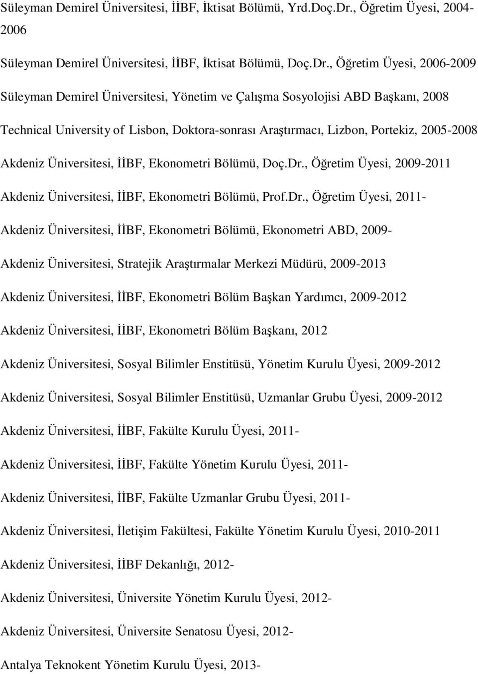 , Öğretim Üyesi, 2006-2009 Süleyman Demirel Üniversitesi, Yönetim ve Çalışma Sosyolojisi ABD Başkanı, 2008 Technical University of Lisbon, Doktora-sonrası Araştırmacı, Lizbon, Portekiz, 2005-2008