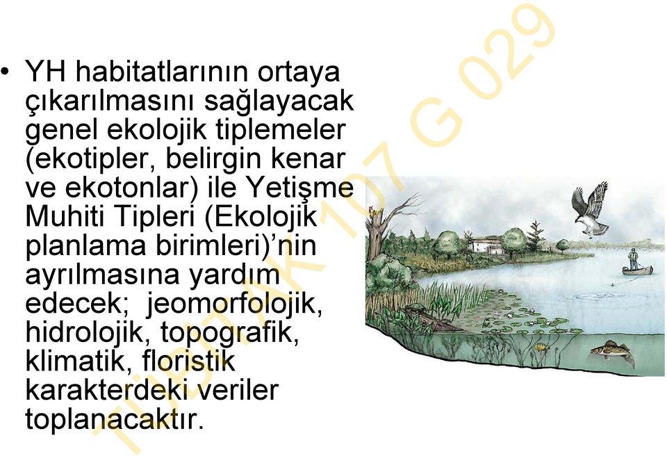 Tipleri (Ekolojik planlama birimleri) nin ayrılmasına yardım edecek;