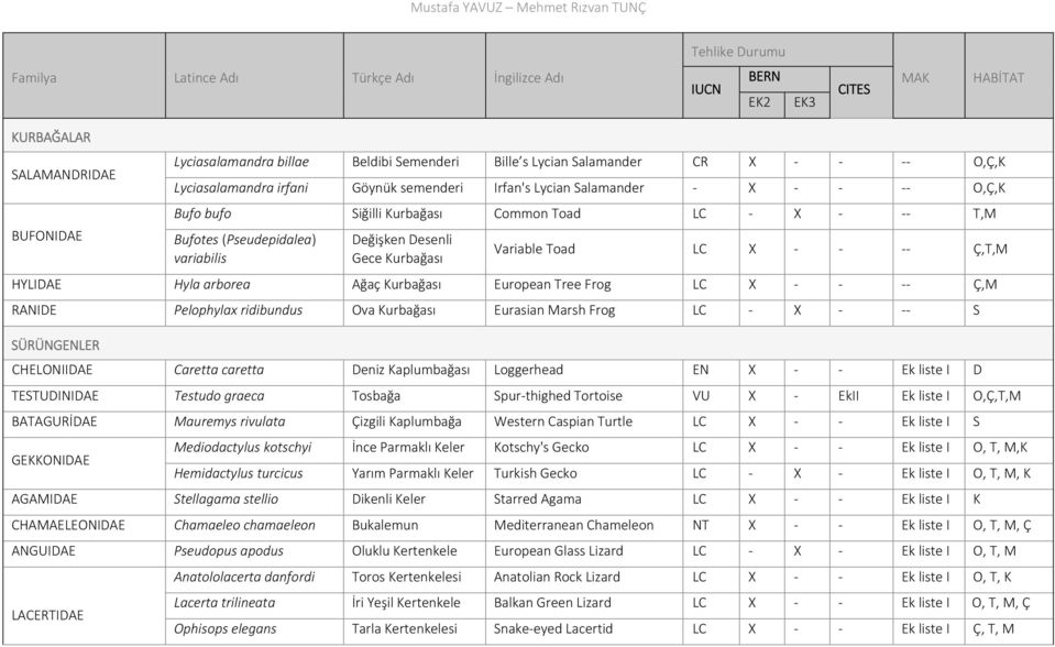 variabilis Değişken Desenli Gece Kurbağası Variable Toad LC X Ç,T,M HYLIDAE Hyla arborea Ağaç Kurbağası European Tree Frog LC X Ç,M RANIDE Pelophylax ridibundus Ova Kurbağası Eurasian Marsh Frog LC X