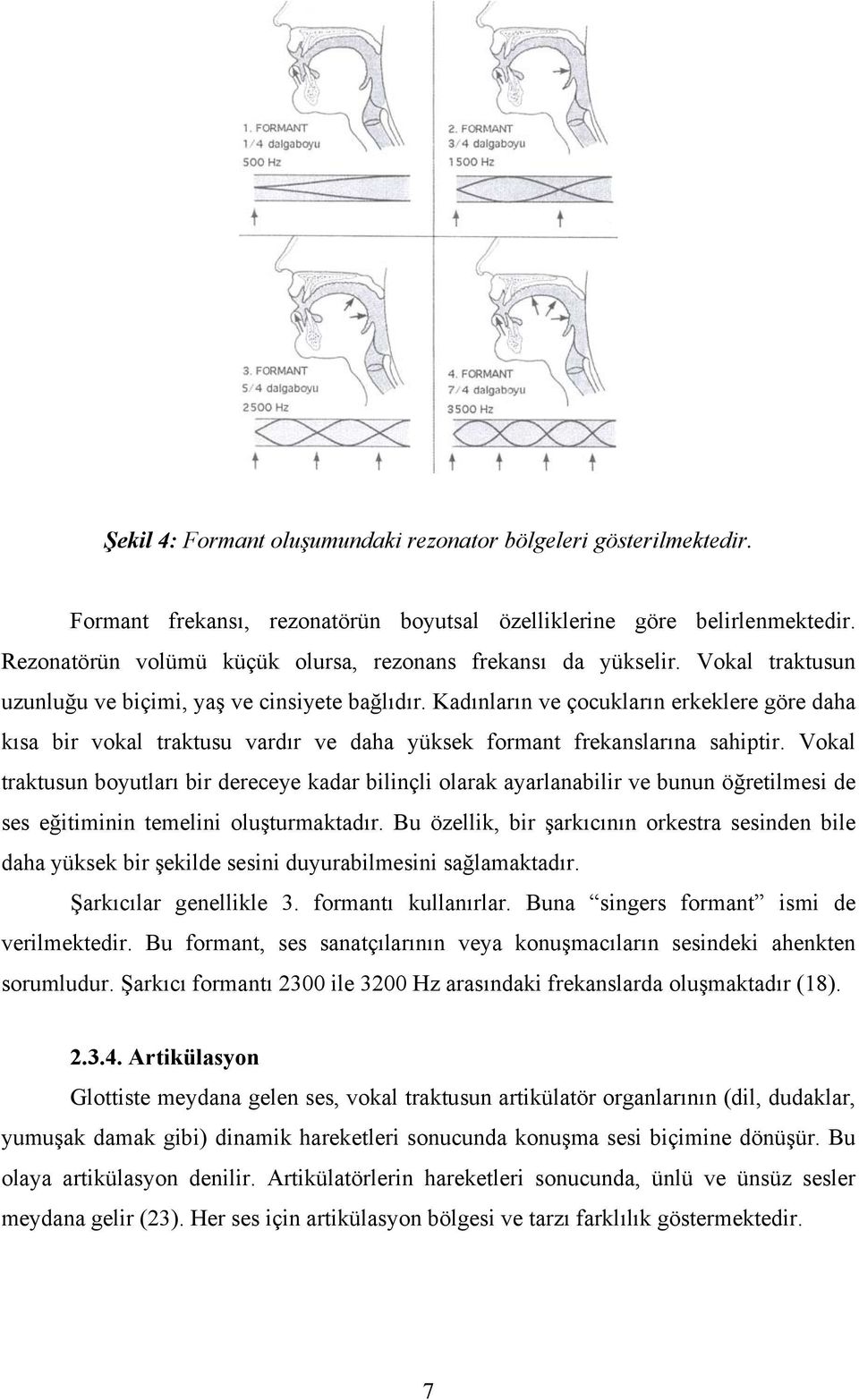 Kadınların ve çocukların erkeklere göre daha kısa bir vokal traktusu vardır ve daha yüksek formant frekanslarına sahiptir.