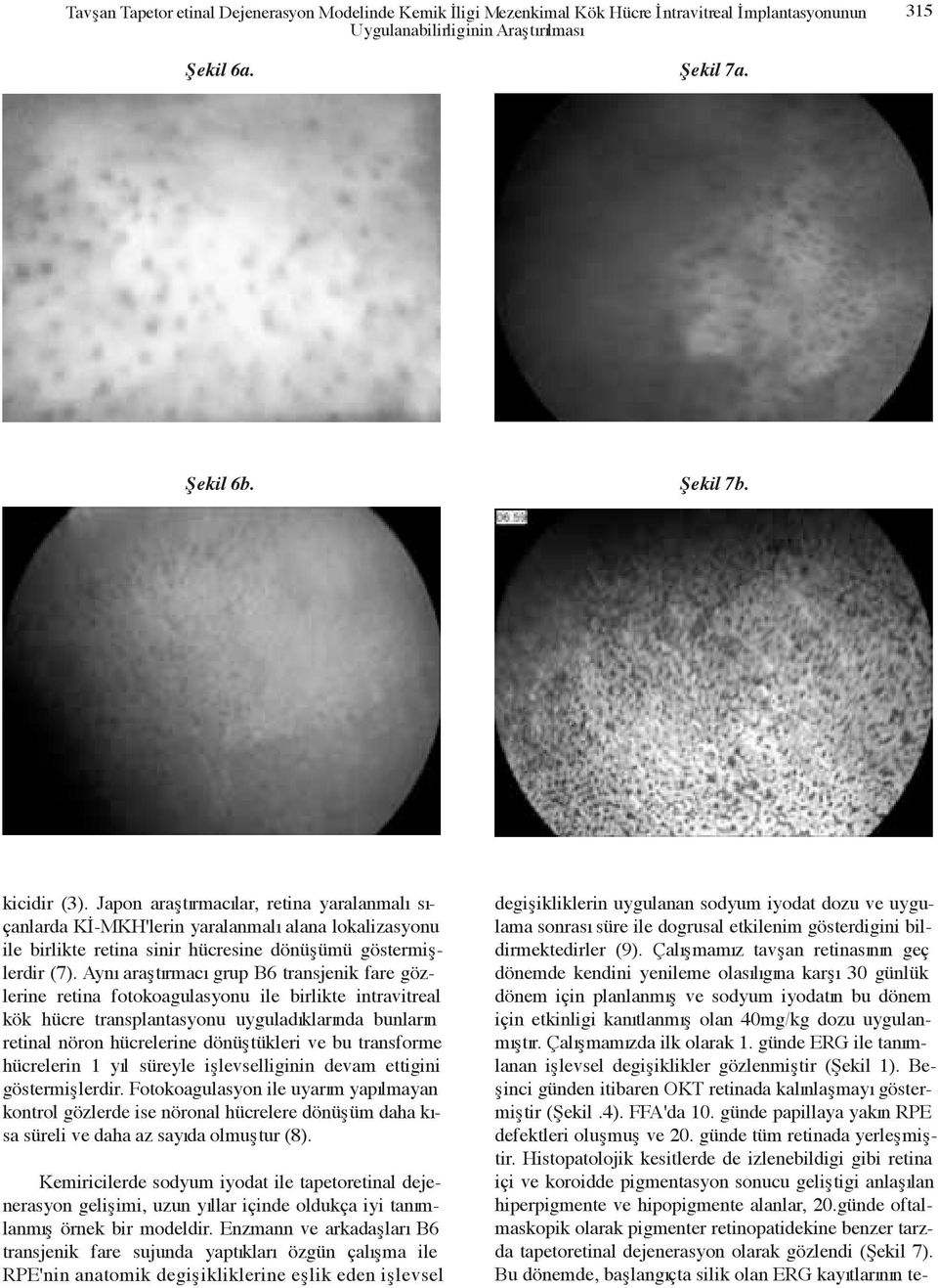 Ayn araflt rmac grup B6 transjenik fare gözlerine retina fotokoagulasyonu ile birlikte intravitreal kök hücre transplantasyonu uygulad klar nda bunlar n retinal nöron hücrelerine dönüfltükleri ve bu