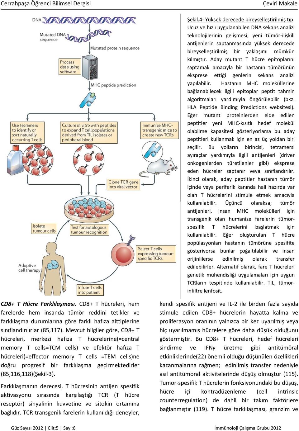 bireyselleştirilmiş bir yaklaşımı mümkün kılmıştır. Aday mutant T hücre epitoplarını saptamak amacıyla bir hastanın tümörünün eksprese ettiği genlerin sekans analizi yapılabilir.