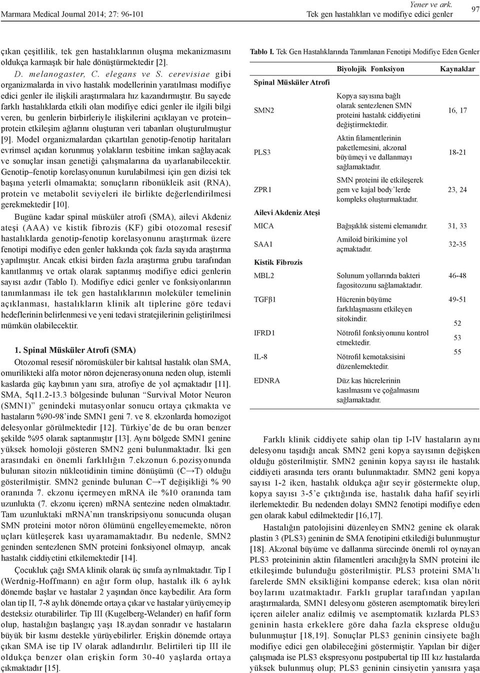 cerevisiae gibi organizmalarda in vivo hastalık modellerinin yaratılması modifiye edici genler ile ilişkili araştırmalara hız kazandırmıştır.