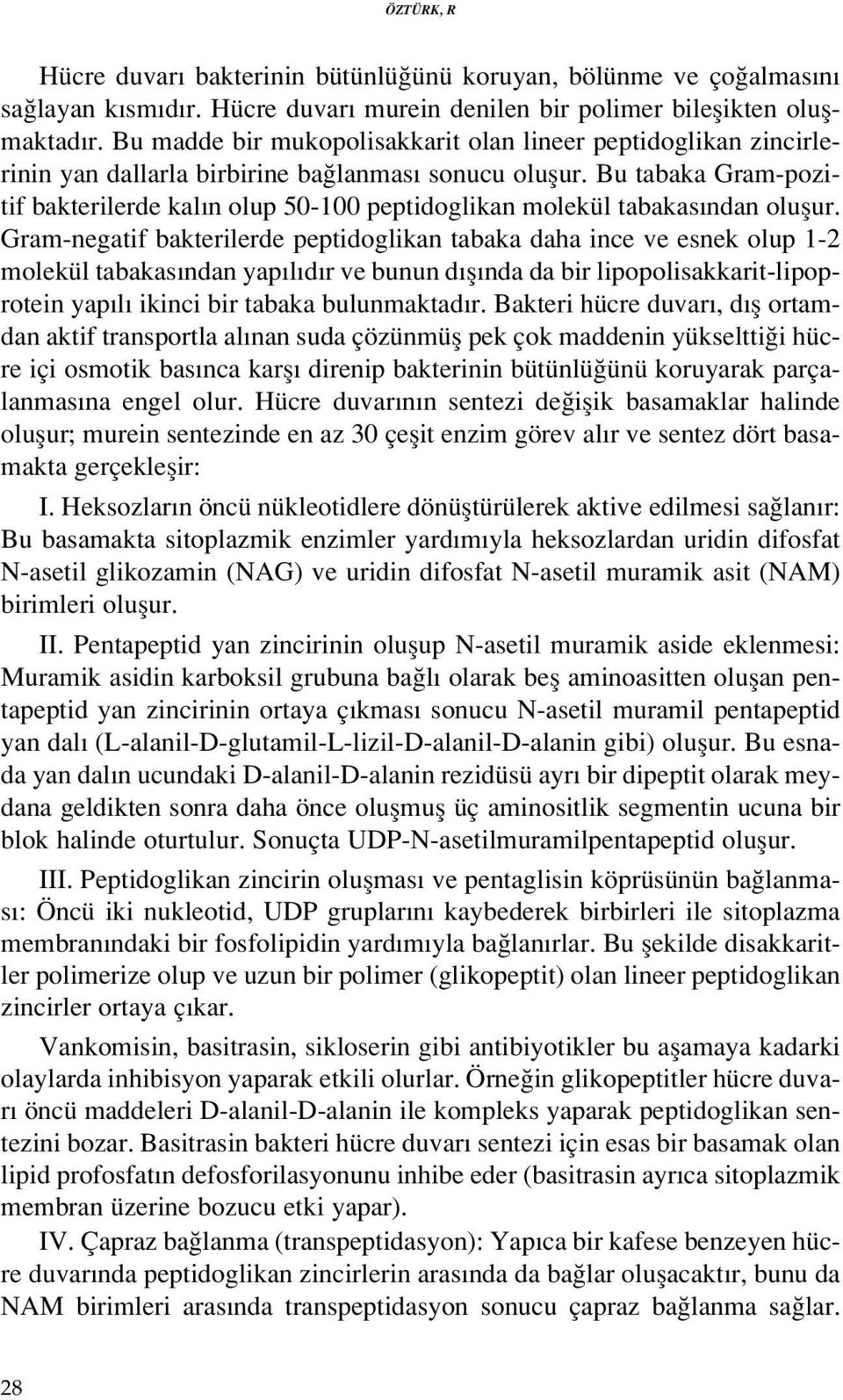 Bu tabaka Grampozitif bakterilerde kal n olup 50100 peptidoglikan molekül tabakas ndan oluflur.