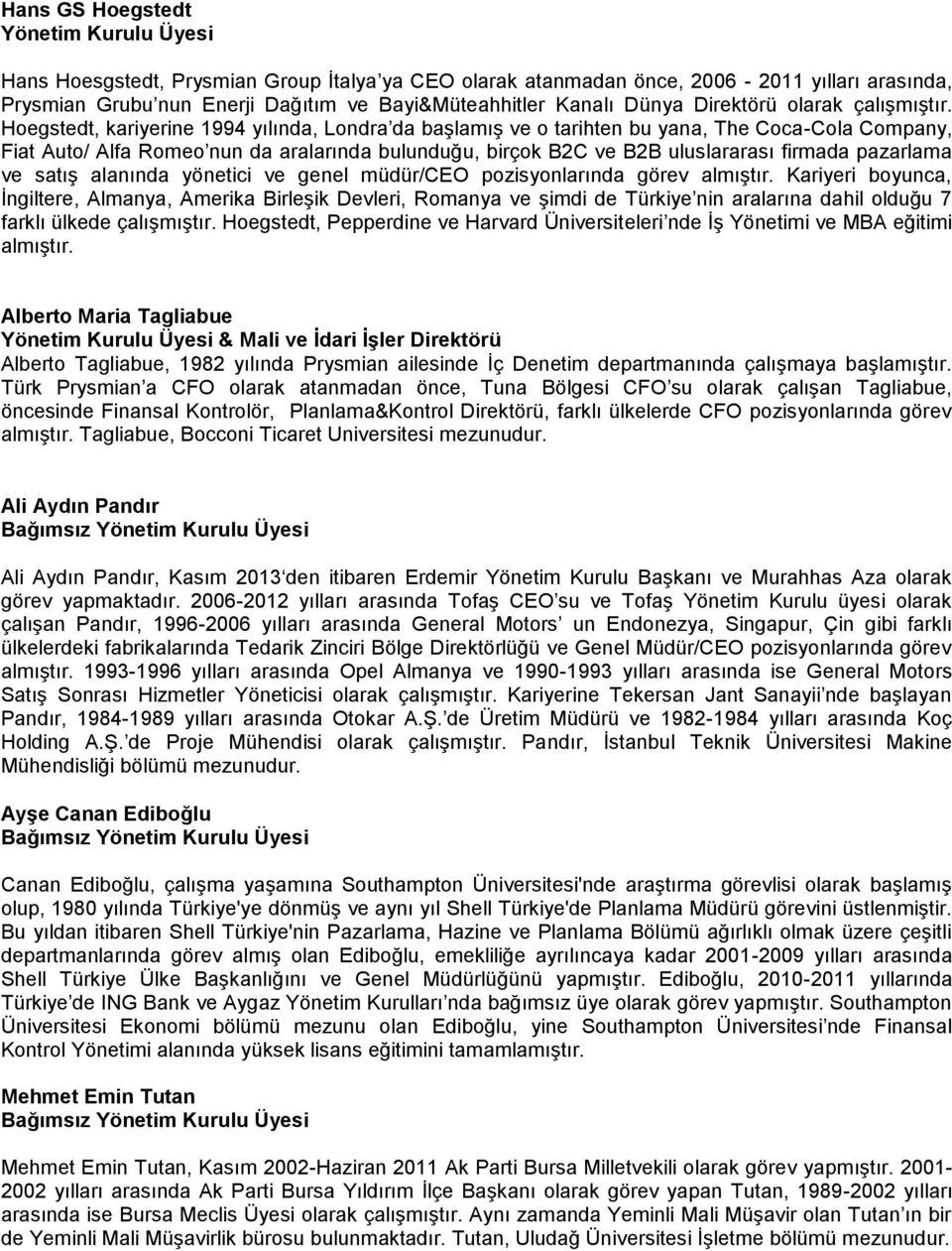 Hoegstedt, kariyerine 1994 yılında, Londra da başlamış ve o tarihten bu yana, The Coca-Cola Company, Fiat Auto/ Alfa Romeo nun da aralarında bulunduğu, birçok B2C ve B2B uluslararası firmada