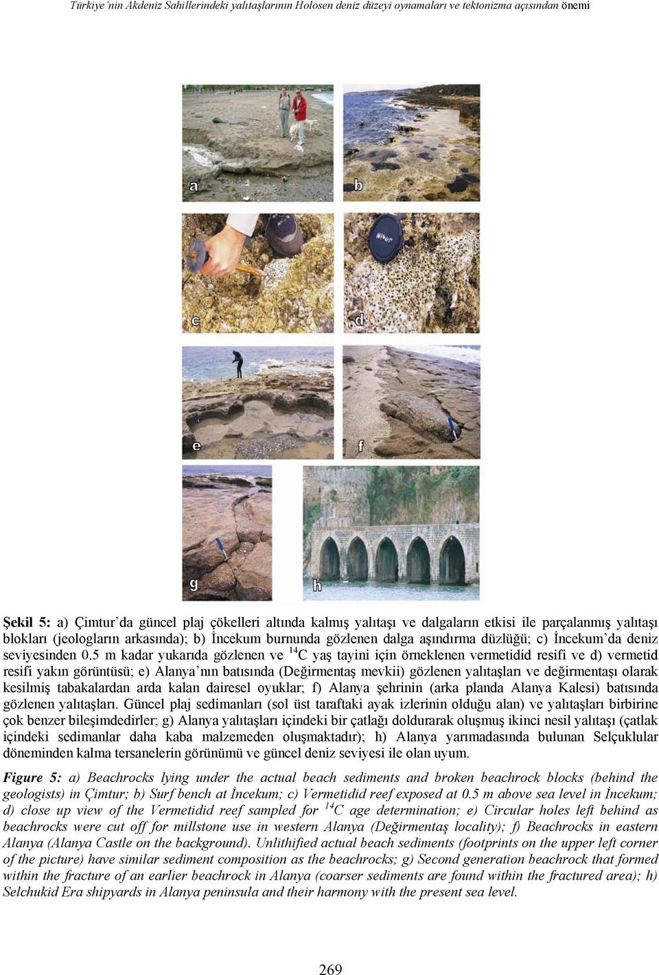 5 m kadar yukarıda gözlenen ve 14 C yaş tayini için örneklenen vermetidid resifi ve d) vermetid resifi yakın görüntüsü; e) Alanya nın batısında (Değirmentaş mevkii) gözlenen yalıtaşları ve