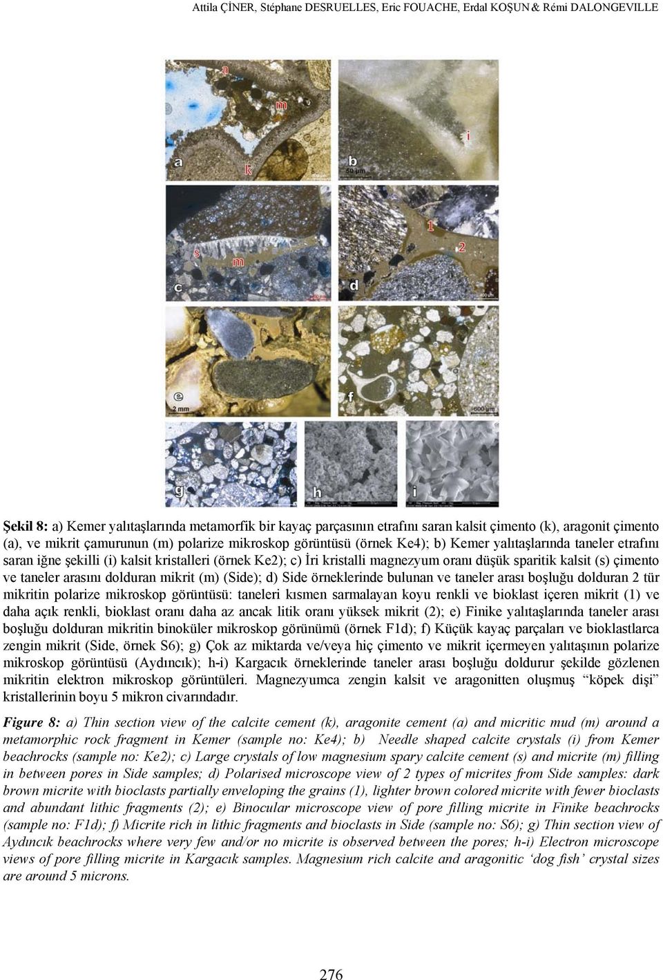 (Side); d) Side örneklerinde bulunan ve taneler arası boşluğu dolduran 2 tür mikritin polarize mikroskop görüntüsü: taneleri kısmen sarmalayan koyu renkli ve bioklast içeren mikrit (1) ve daha açık