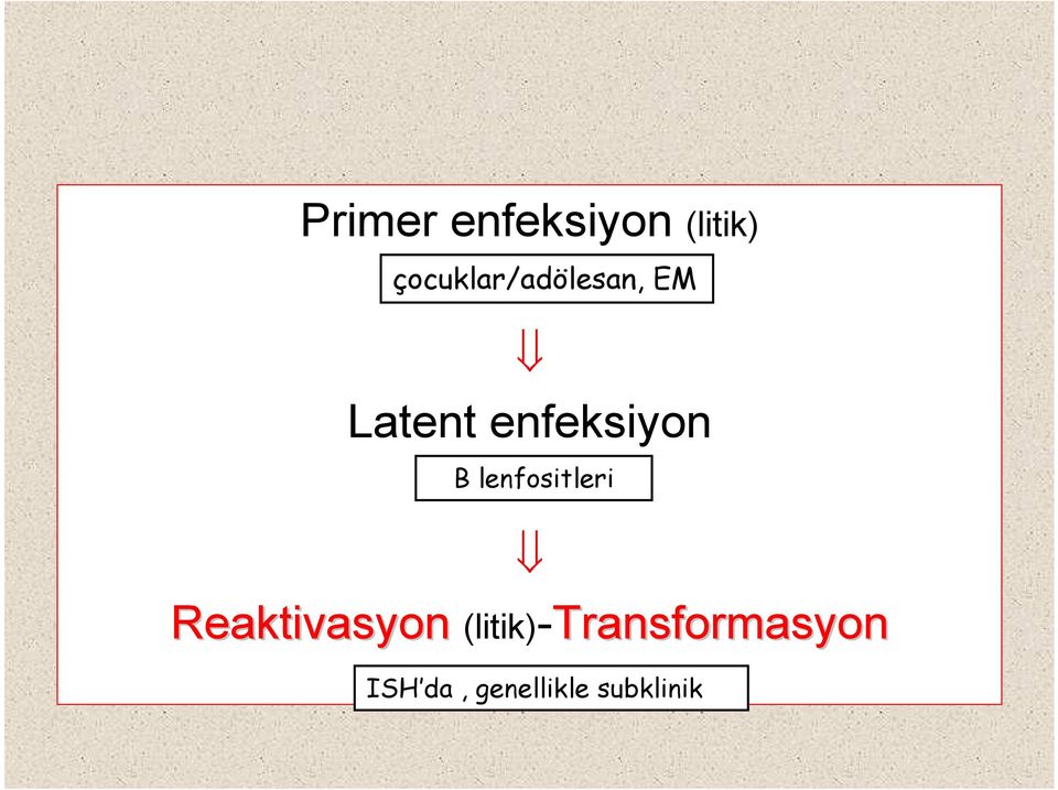 enfeksiyon B lenfositleri