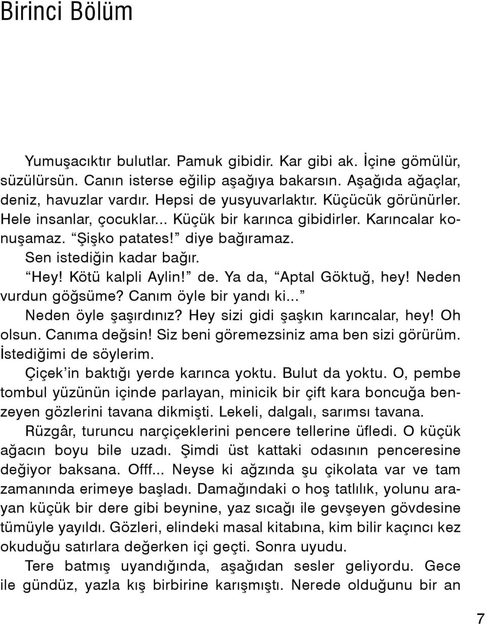 Ya da, Aptal Göktuğ, hey! Neden vurdun göğsüme? Canım öyle bir yandı ki... Neden öyle şaşırdınız? Hey sizi gidi şaşkın karıncalar, hey! Oh olsun. Canıma değsin!