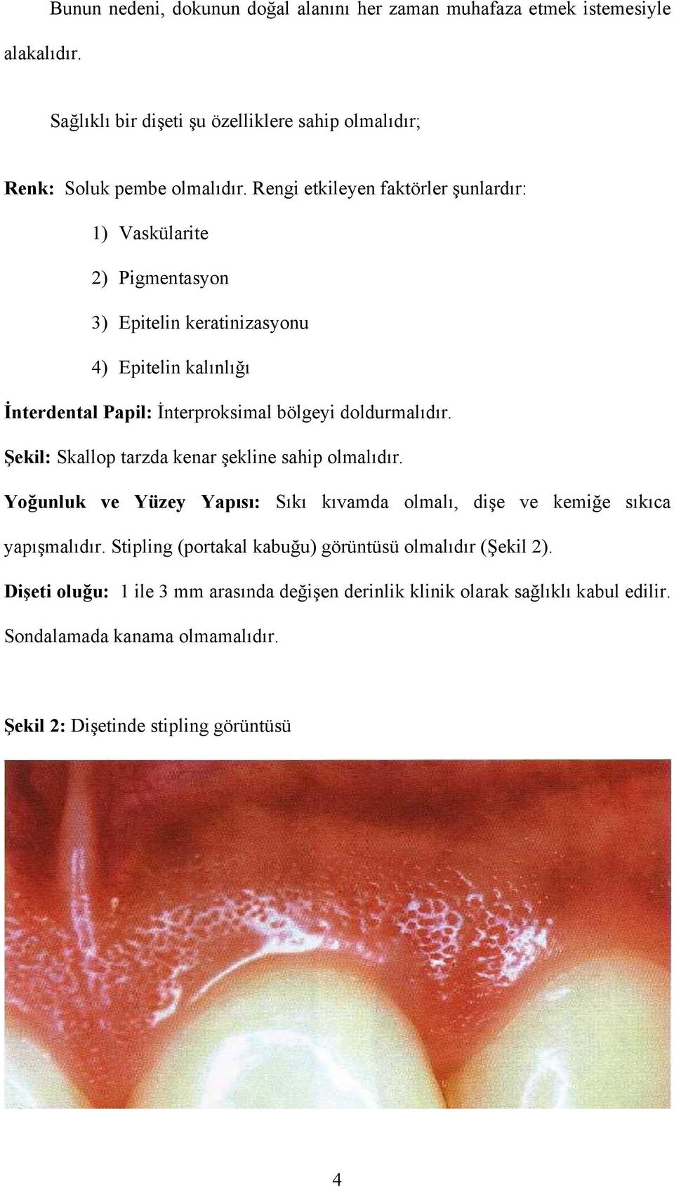 Şekil: Skallop tarzda kenar şekline sahip olmalıdır. Yoğunluk ve Yüzey Yapısı: Sıkı kıvamda olmalı, dişe ve kemiğe sıkıca yapışmalıdır.