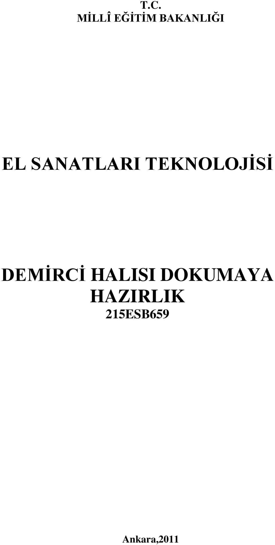 TEKNOLOJİSİ DEMİRCİ HALISI