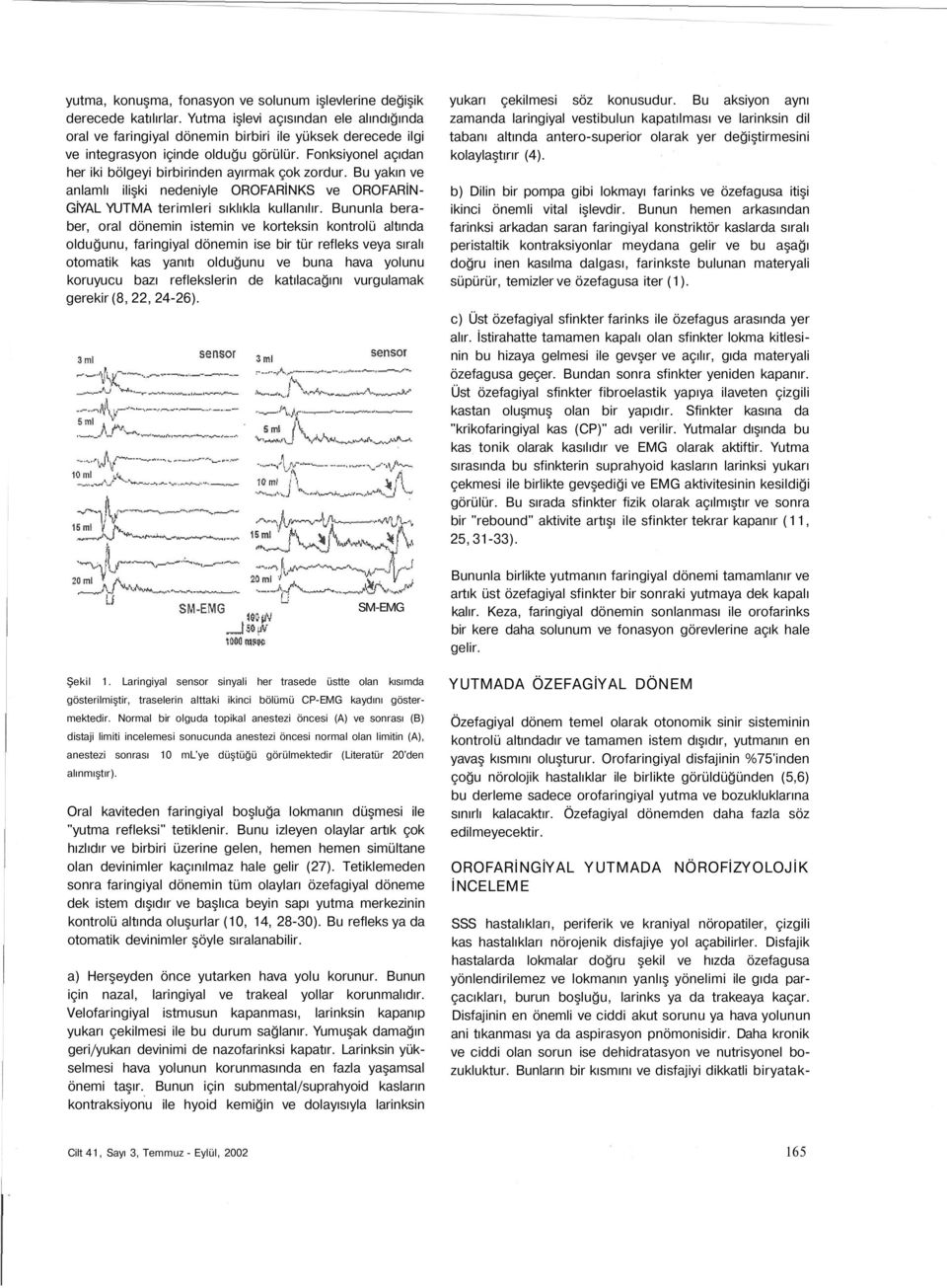 Fonksiyonel açıdan her iki bölgeyi birbirinden ayırmak çok zordur. Bu yakın ve anlamlı ilişki nedeniyle OROFARİNKS ve OROFARİN- GİYAL YUTMA terimleri sıklıkla kullanılır.