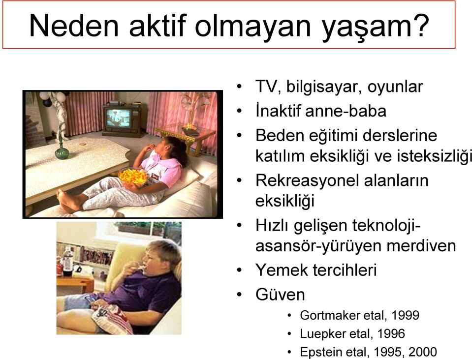 katılım eksikliği ve isteksizliği Rekreasyonel alanların eksikliği Hızlı