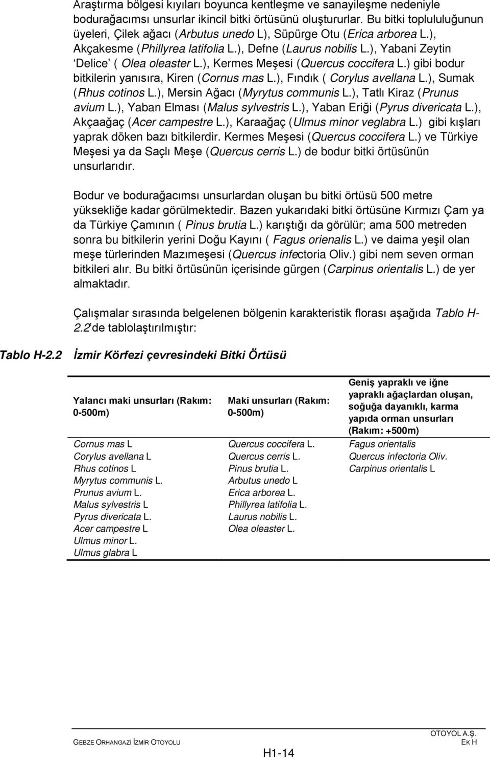 ), Kermes Meşesi (Quercus coccifera L.) gibi bodur bitkilerin yanısıra, Kiren (Cornus mas L.), Fındık ( Corylus avellana L.), Sumak (Rhus cotinos L.), Mersin Ağacı (Myrytus communis L.