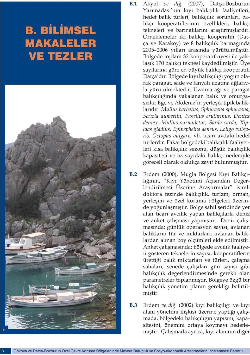 araştırmışlardır. Örneklemeler iki balıkçı kooperatifi (Datça ve Karaköy) ve 8 balıkçılık barınağında 2005 2006 yılları arasında yürütülmüştür.