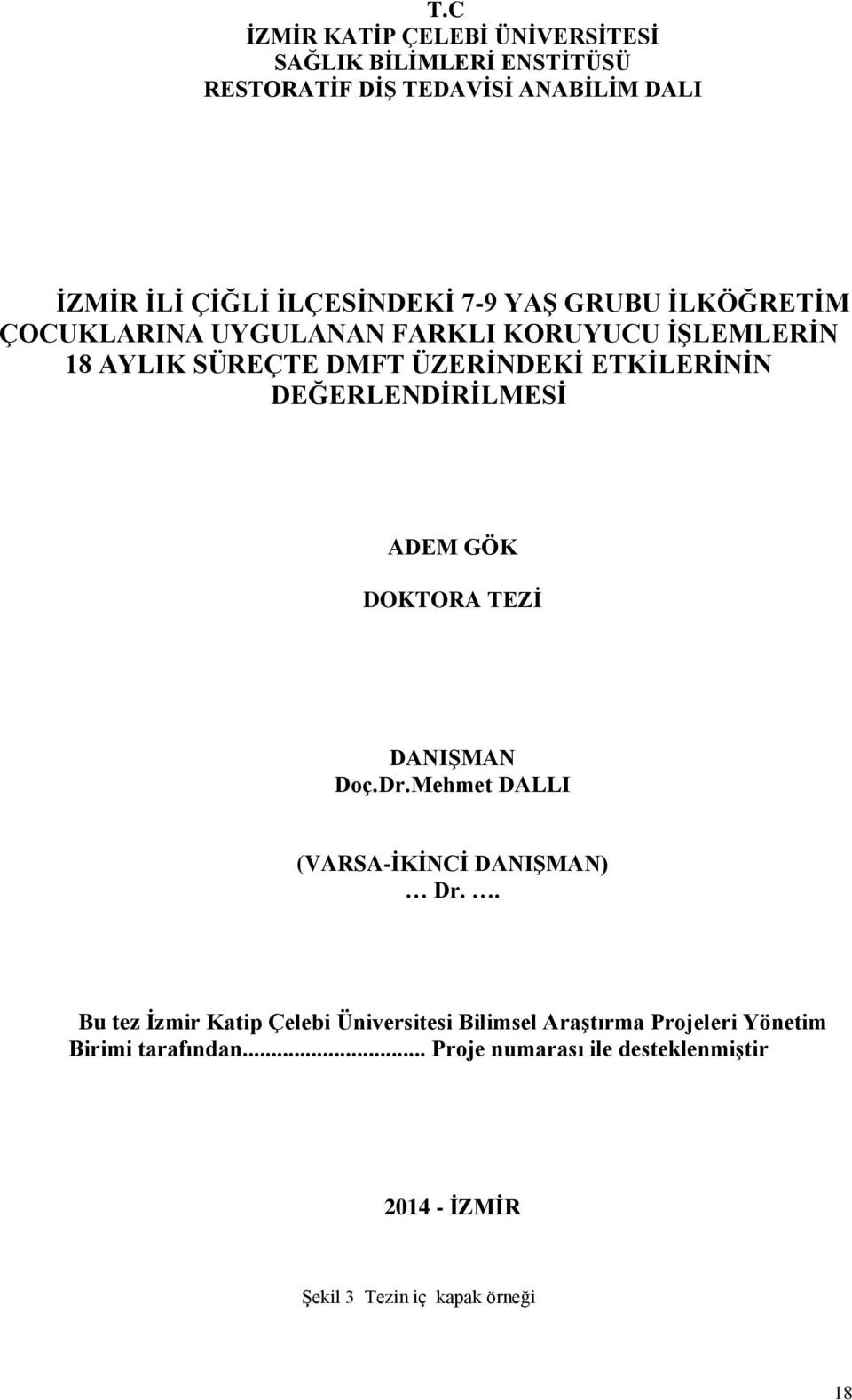 DEĞERLENDİRİLMESİ ADEM GÖK DOKTORA TEZİ DANIŞMAN Doç.Dr.Mehmet DALLI (VARSA-İKİNCİ DANIŞMAN) Dr.