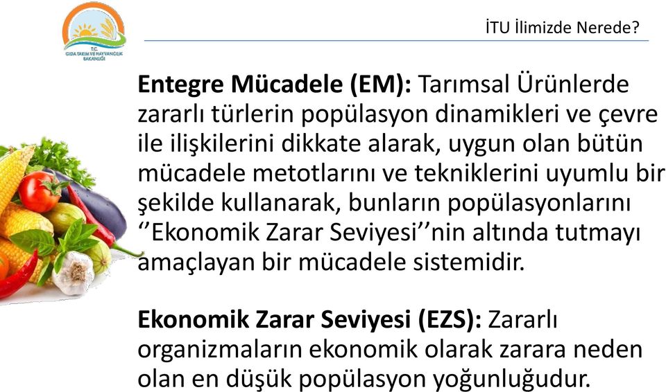 dikkate alarak, uygun olan bütün mücadele metotlarını ve tekniklerini uyumlu bir şekilde kullanarak, bunların