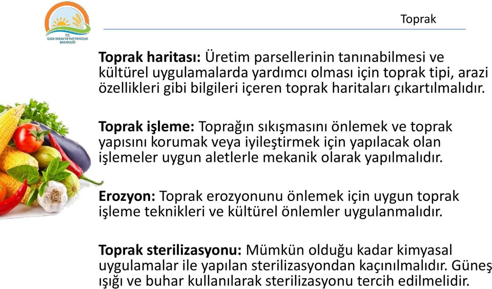 Toprak işleme: Toprağın sıkışmasını önlemek ve toprak yapısını korumak veya iyileştirmek için yapılacak olan işlemeler uygun aletlerle mekanik olarak