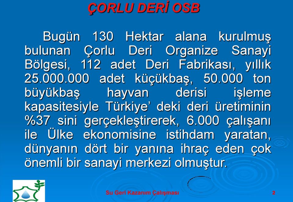 000 ton büyükbaş hayvan derisi işleme kapasitesiyle Türkiye deki deri üretiminin %37 sini