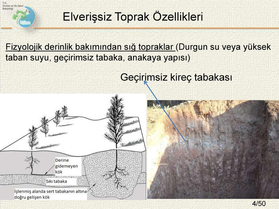 su veya yüksek taban suyu, geçirimsiz