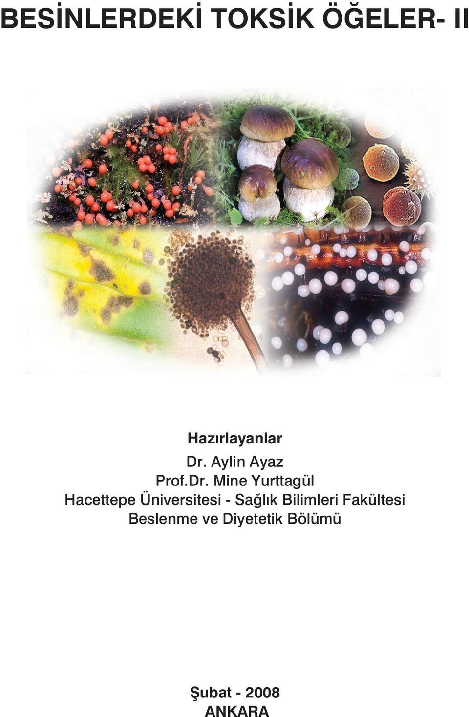 Hacettepe Üniversitesi - Sağlık Bilimleri