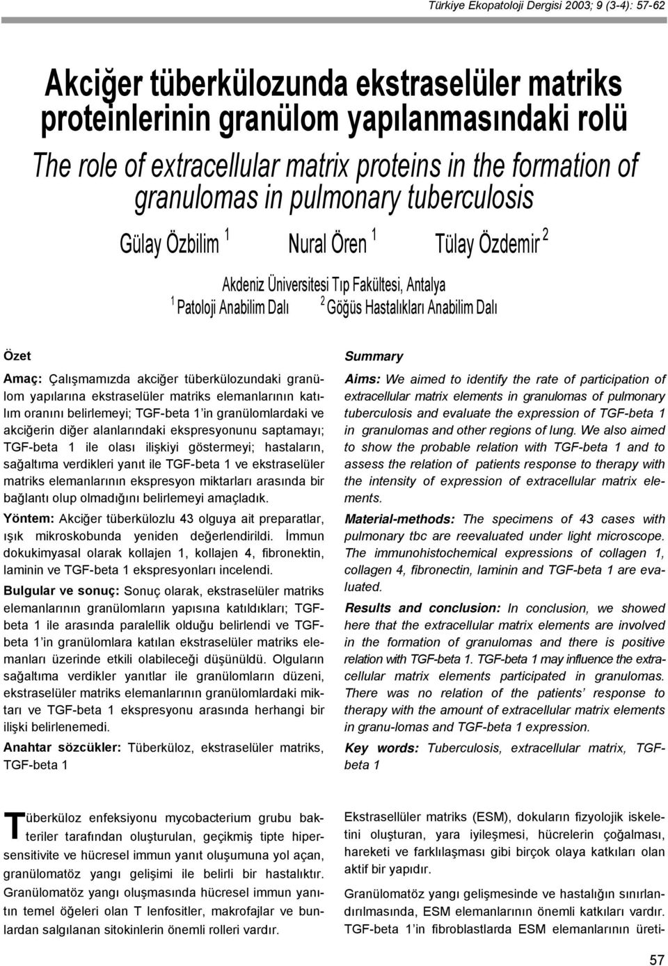 Çalışmamızda akciğer tüberkülozundaki granülom yapılarına ekstraselüler matriks elemanlarının katılım oranını belirlemeyi; TGF-beta 1 in granülomlardaki ve akciğerin diğer alanlarındaki ekspresyonunu
