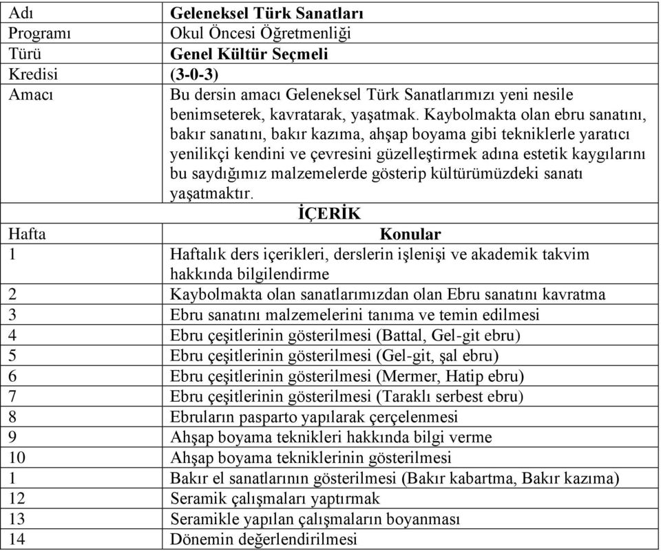 Kaybolmakta olan ebru sanatını, bakır sanatını, bakır kazıma, ahşap boyama gibi tekniklerle yaratıcı yenilikçi kendini ve çevresini güzelleştirmek adına estetik kaygılarını bu saydığımız malzemelerde