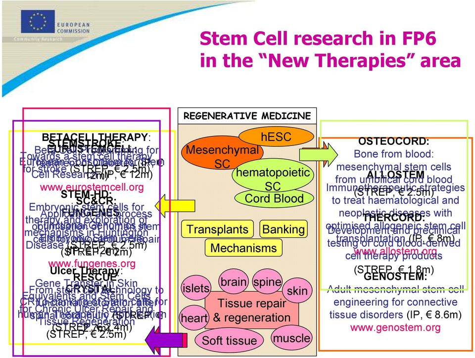 org STEM-HD: SC&CR: Embryonic stem cells for Application FUNGENES: and process therapy and exploration of optimisation Functional Genomics of human stem in mechanisms in Huntington cells Embryonic