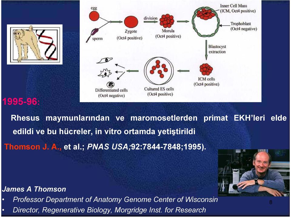 ; PNAS USA;92:7844-7848;1995).