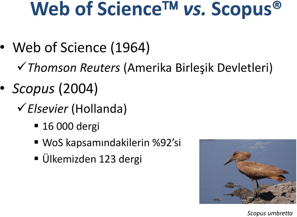 (Amerika Birleşik Devletleri) Scopus (2004)