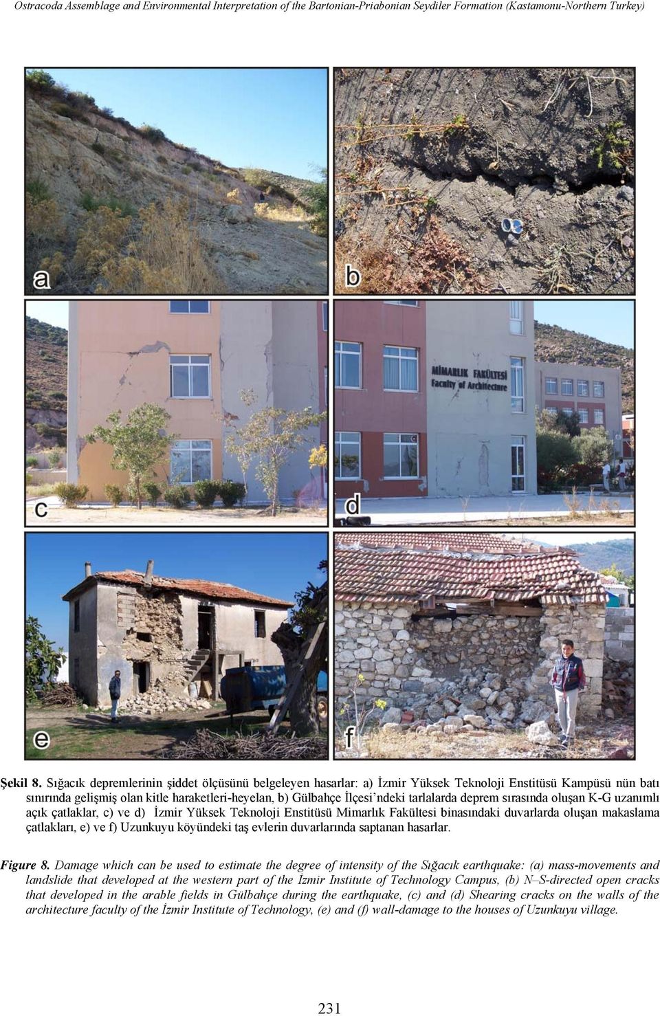 deprem sırasında oluşan K-G uzanımlı açık çatlaklar, c) ve d) İzmir Yüksek Teknoloji Enstitüsü Mimarlık Fakültesi binasındaki duvarlarda oluşan makaslama çatlakları, e) ve f) Uzunkuyu köyündeki taş