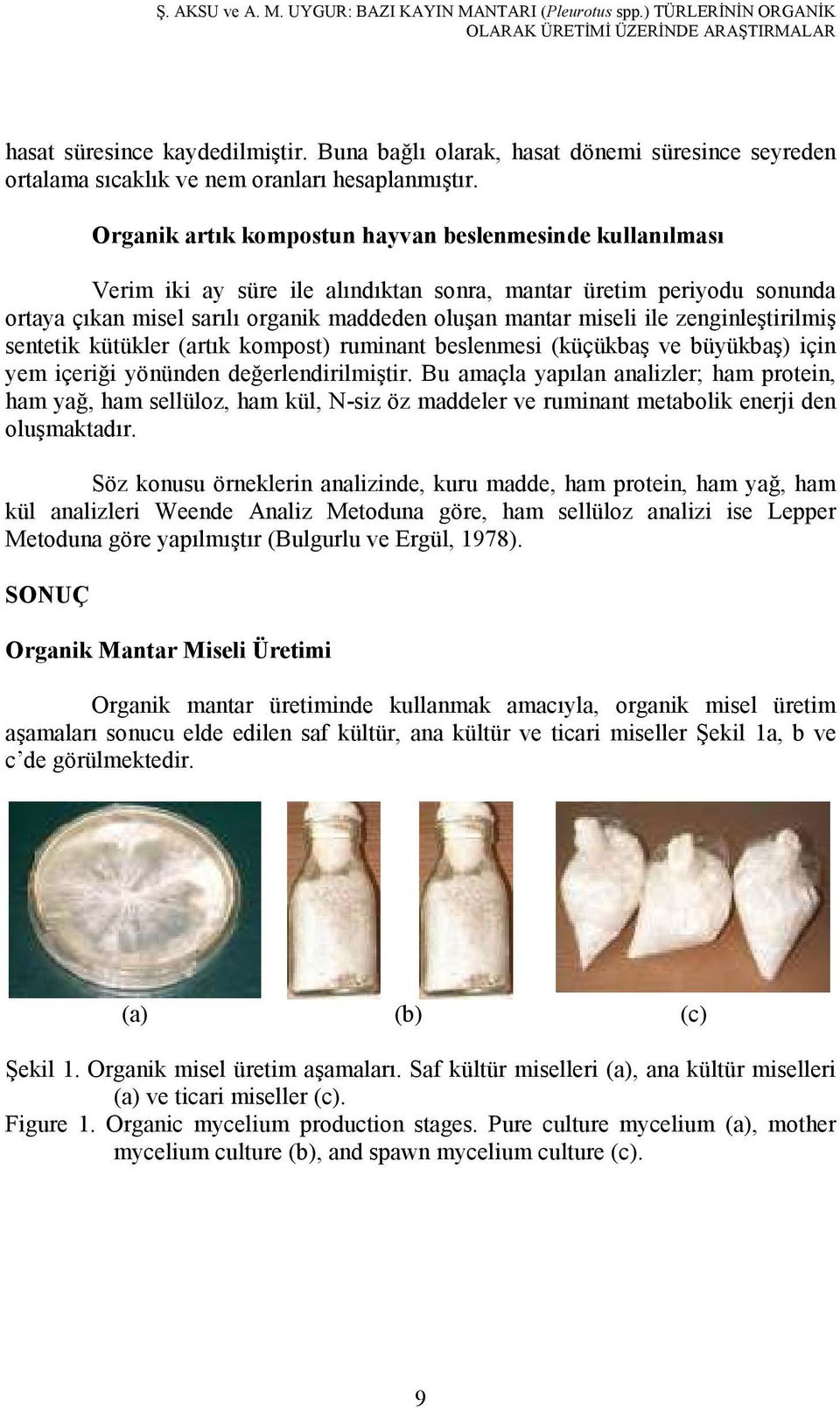 Organik artık kompostun hayvan beslenmesinde kullanılması Verim iki ay süre ile alındıktan sonra, mantar üretim periyodu sonunda ortaya çıkan misel sarılı organik maddeden oluşan mantar miseli ile