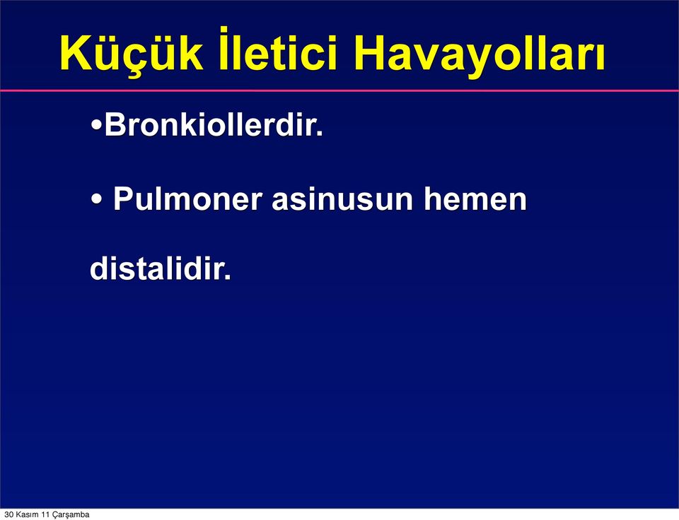 Bronkiollerdir.