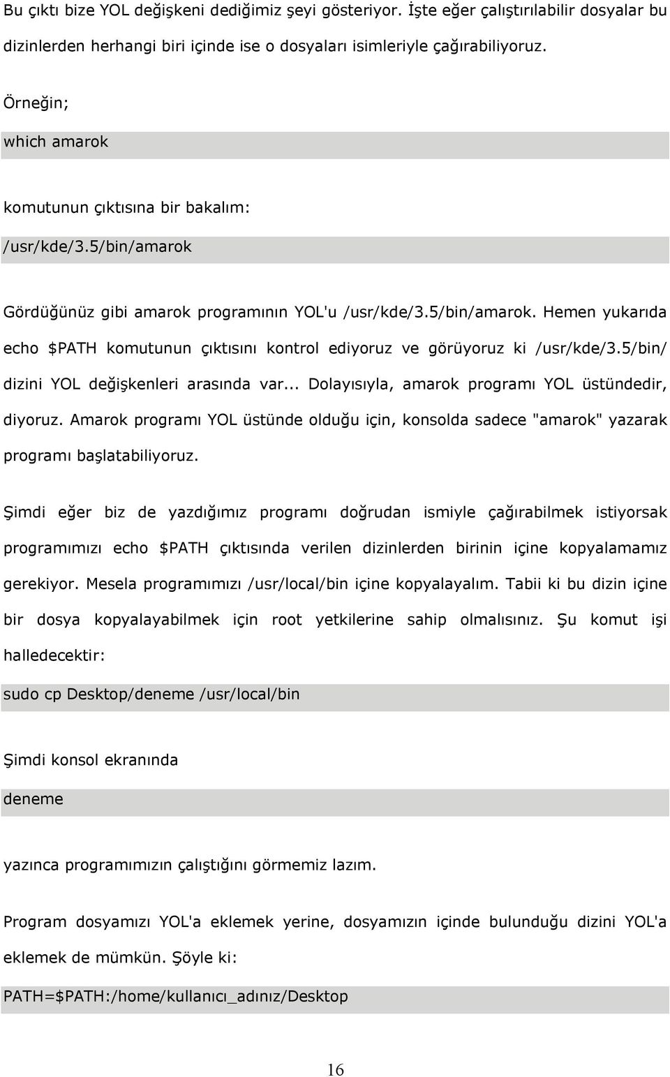 5/bin/ dizini YOL değişkenleri arasında var... Dolayısıyla, amarok programı YOL üstündedir, diyoruz.