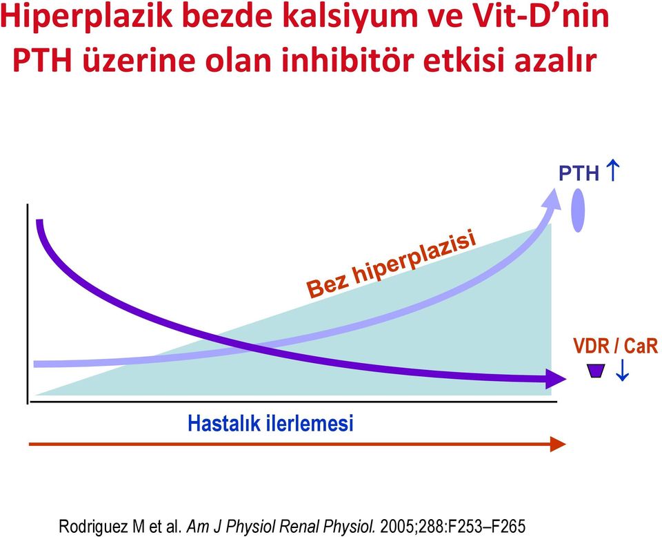 Hastalık ilerlemesi VDR / CaR Rodriguez M et