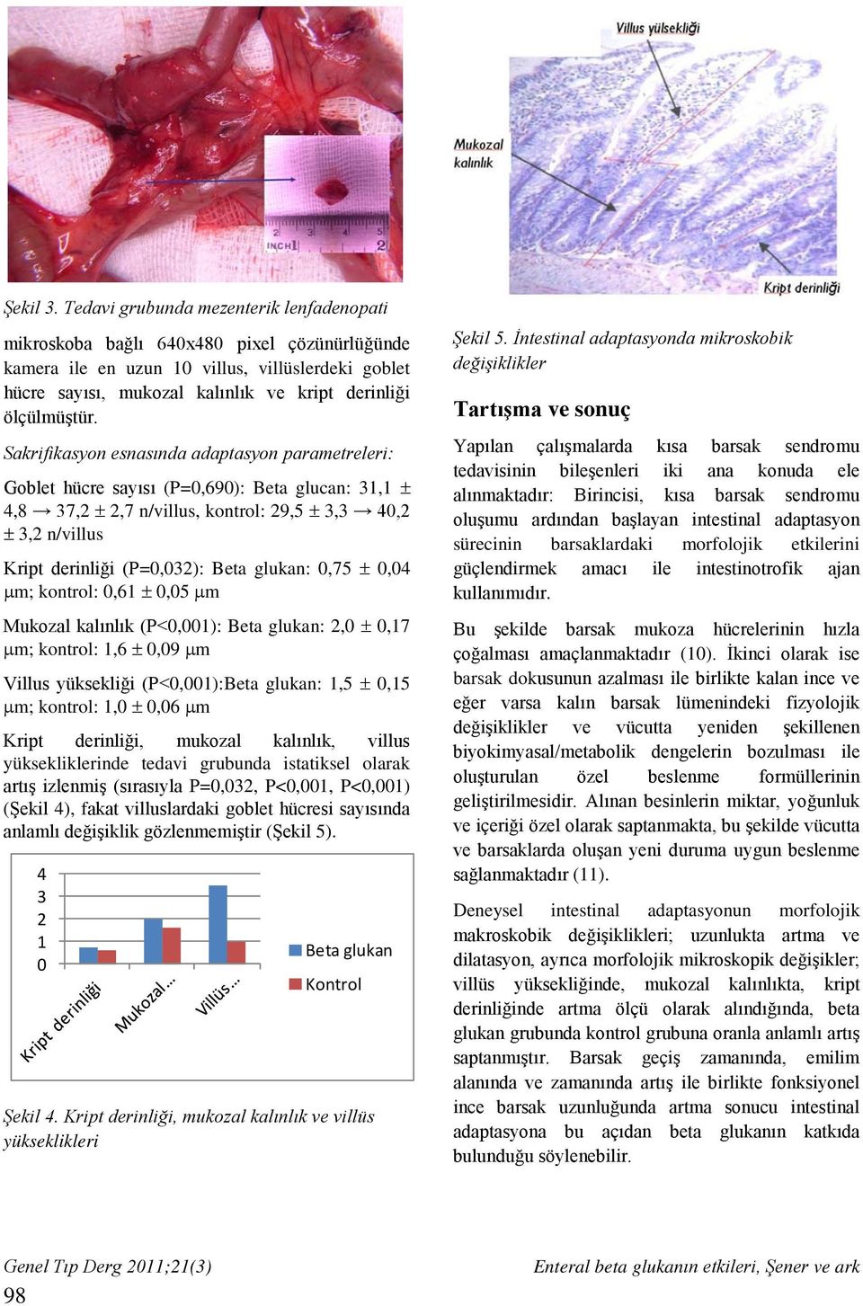 Sakrifikasyon esnasında adaptasyon parametreleri: Goblet hücre sayısı (P=0,690): Beta glucan: 31,1 ± 4,8 37,2 ± 2,7 n/villus, kontrol: 29,5 ± 3,3 40,2 ± 3,2 n/villus Kript derinliği (P=0,032): Beta